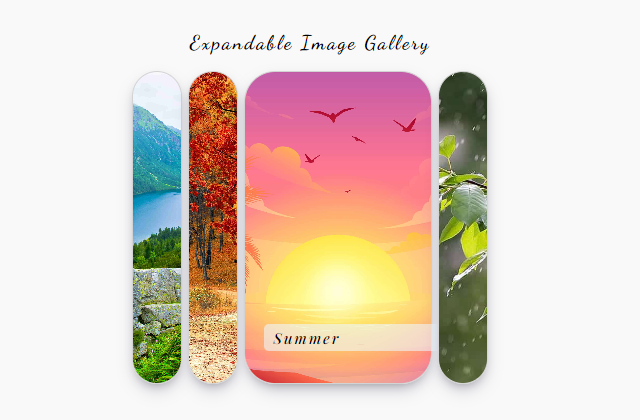 Expandable Image Gallery Project